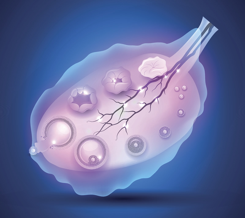 六安助孕|安徽六安市人民医院试管婴儿各阶段费用情况是怎样的(六安哪里医院可以做试管)